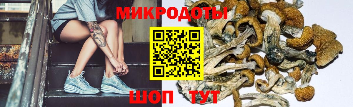 Псилоцибиновые грибы ЛСД Изобильный